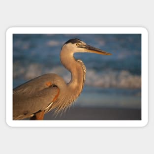 Sunset Heron Sticker